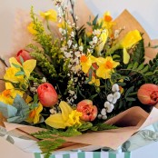 Springtime Surprise